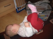 felina-klammerkorb-1