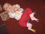 felina-klammerkorb-2