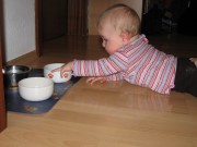 felina-katzenfutter-3